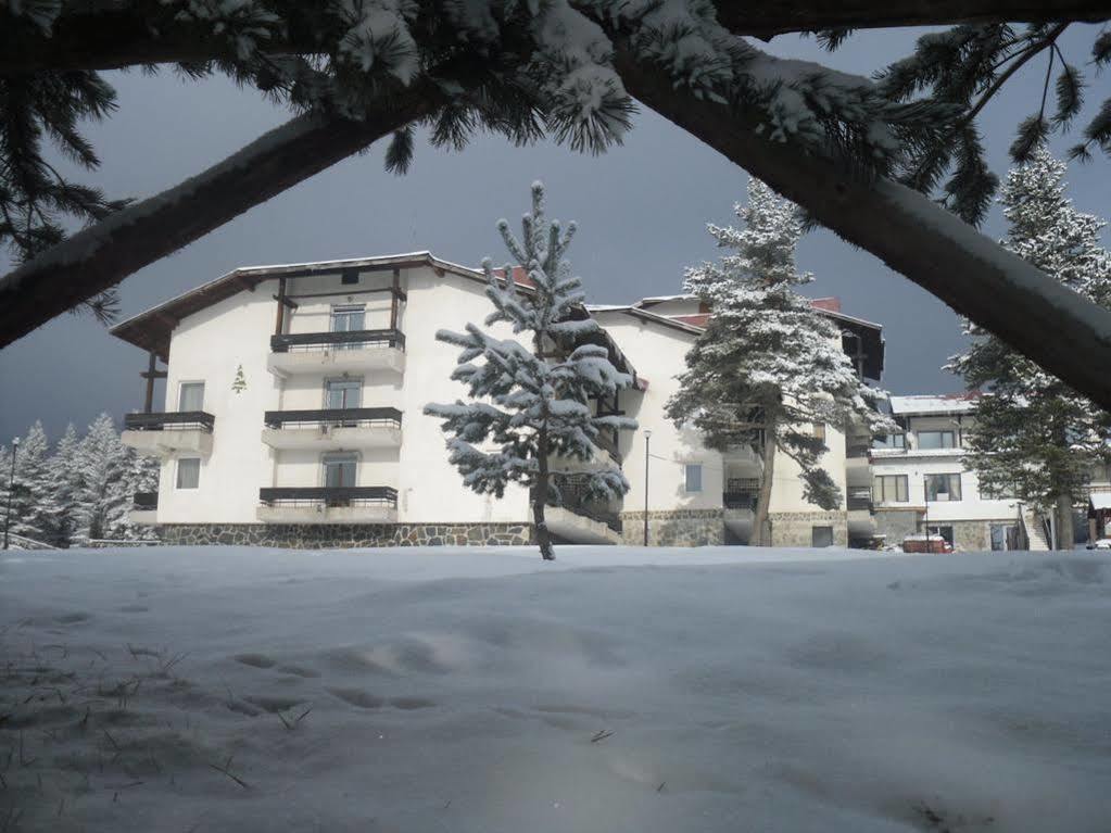 Bor Hotel Belitsa  Экстерьер фото