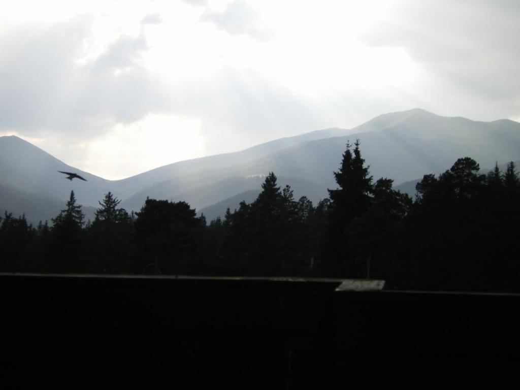 Bor Hotel Belitsa  Номер фото